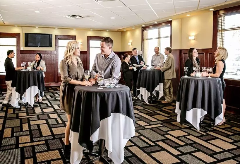 酒店 Chateau Nova Kingsway