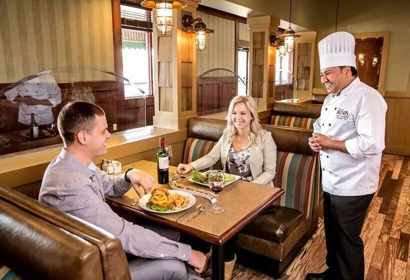 酒店 Chateau Nova Kingsway