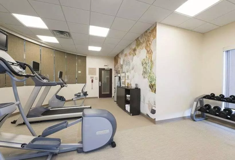 酒店 Springhill Suites Midland