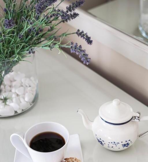 בית מלון כפרי Tourist Boutique