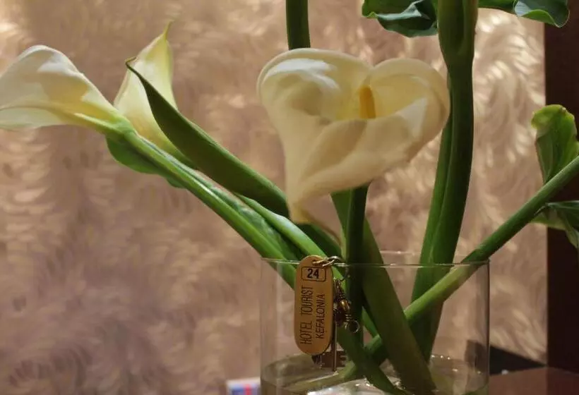 هتل Tourist Boutique