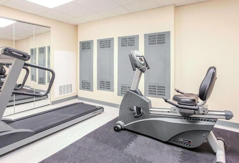 モーテル Super 8 By Wyndham Sault Ste. Marie