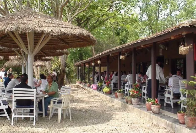 Safari Narayani Hotel All Inclusive