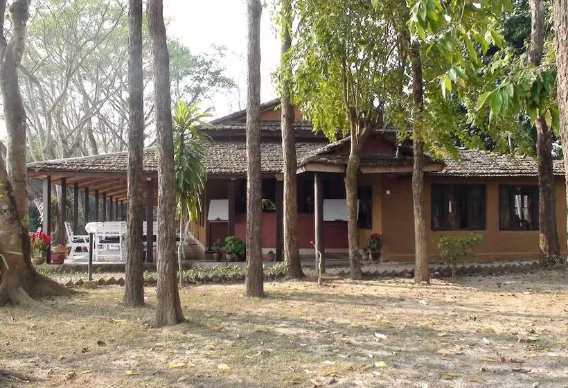 Safari Narayani Hotel All Inclusive