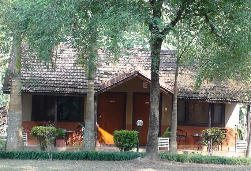 Safari Narayani Hotel All Inclusive