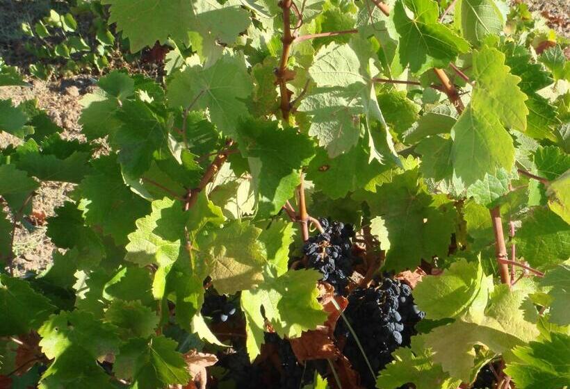 Отель Herdade Das Rosadas