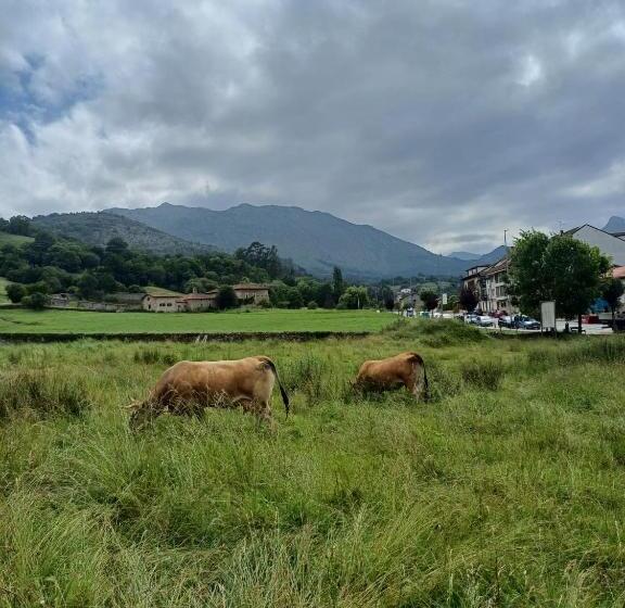 فندق Rural Villa Elena