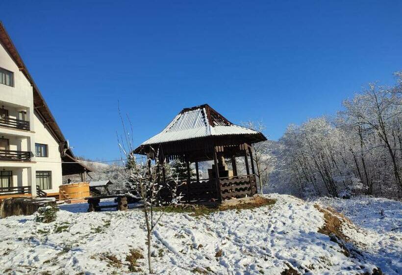 膳宿费 Bucovina Montană