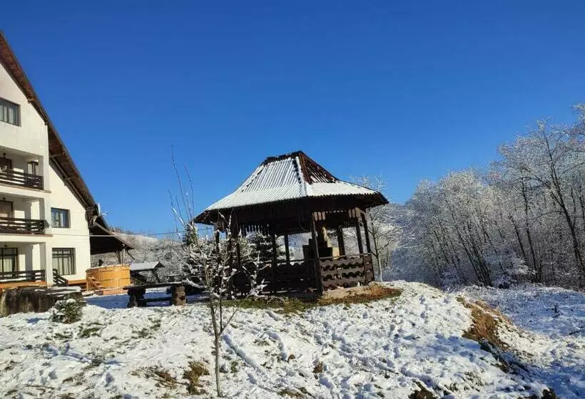 ペンション Bucovina Montană