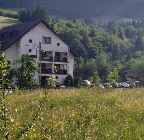 膳宿费 Bucovina Montană