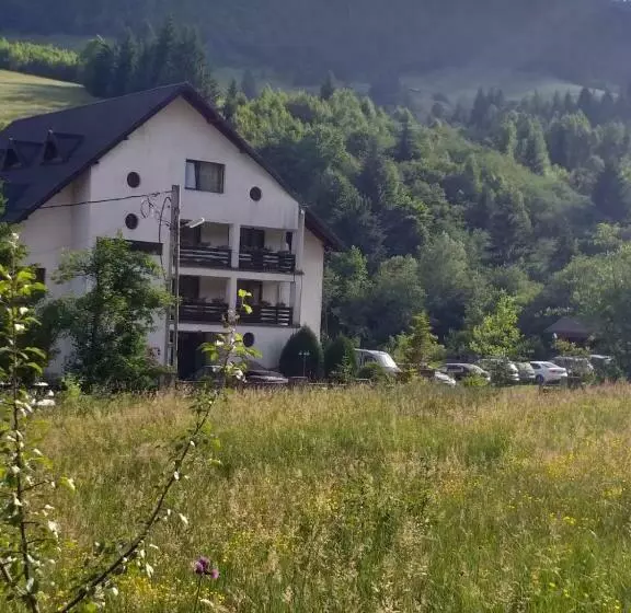 ペンション Bucovina Montană