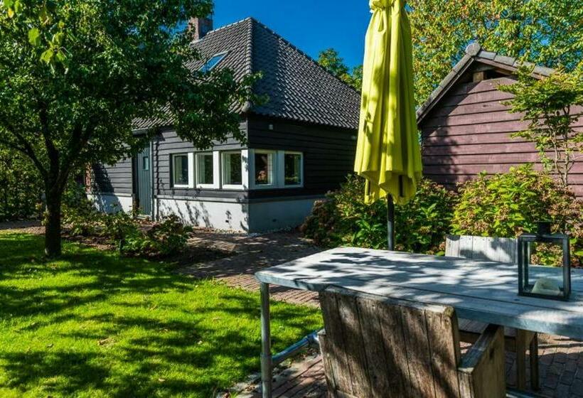 Aan Het Dijksteegje B&b   Logies