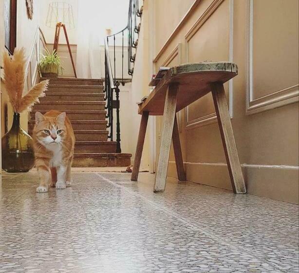 פנסיון Mas Notre Dame, Jardin Petit Paradis, Literie Haut De Gamme