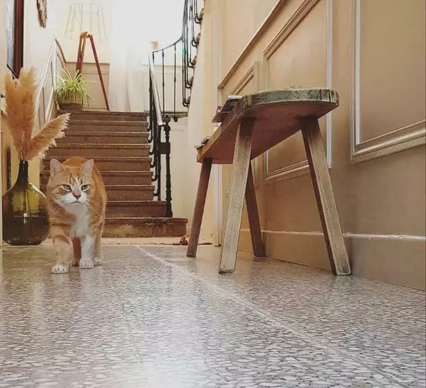 Majatalo Mas Notre Dame, Jardin Petit Paradis, Literie Haut De Gamme