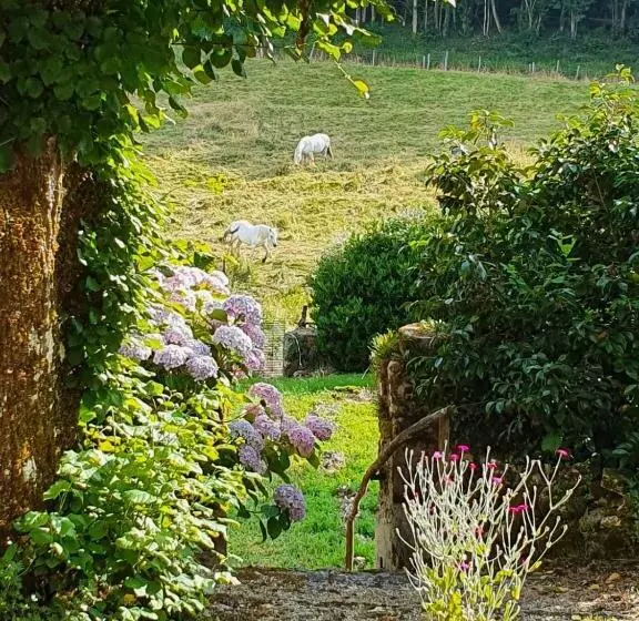 ベッドアンドブレックファースト Maison Mercredi