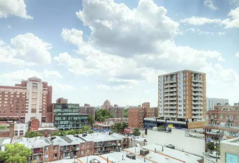 Asiatic Hotel   Flushing