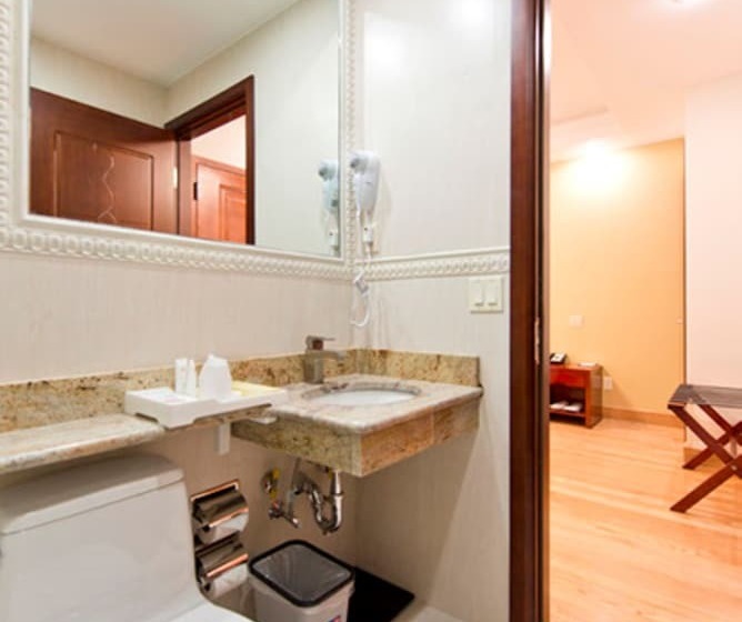 Asiatic Hotel   Flushing