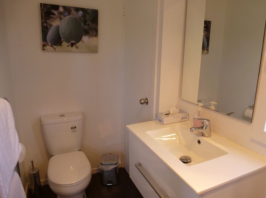 Cottages On St Andrews