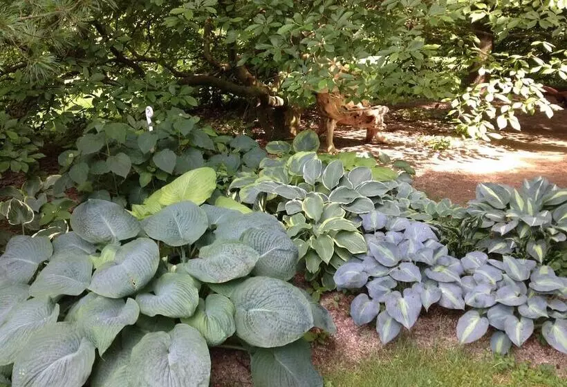 Hotell Herberts Stubn