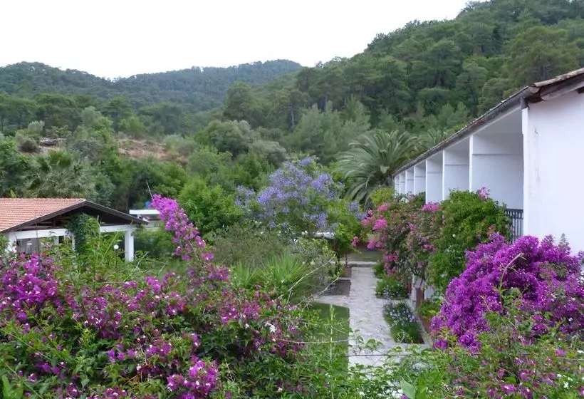 ホテル Sultan Palas