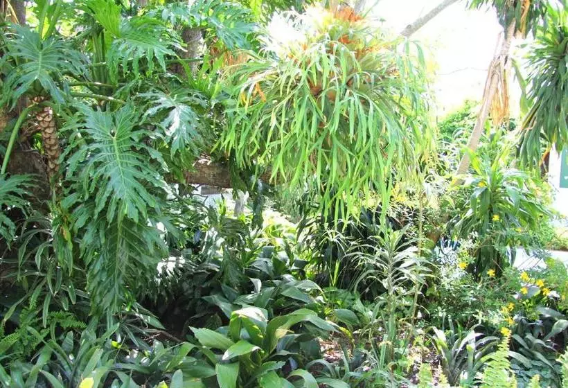 The Reef Bed And Breakfast