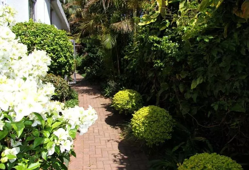 The Reef Bed And Breakfast