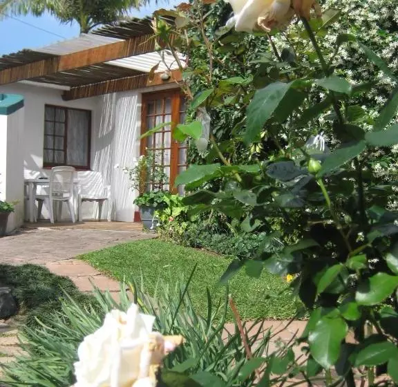 The Reef Bed And Breakfast