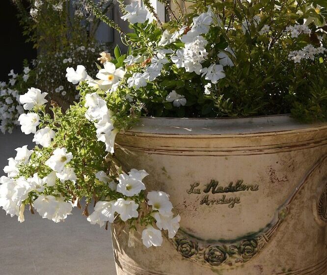 مبيت وإفطار Domaine Perréal Chambres D Hôtes