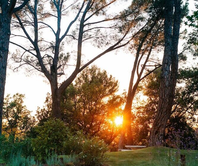 مبيت وإفطار Domaine Perréal Chambres D Hôtes