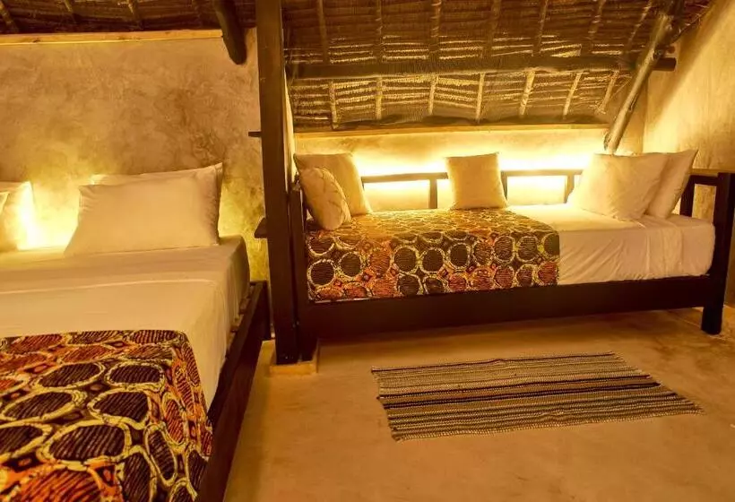 تختخواب و صبحانه Lions  Luxury Eco Resort & Spa