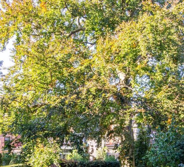 مبيت وإفطار The Old Beech