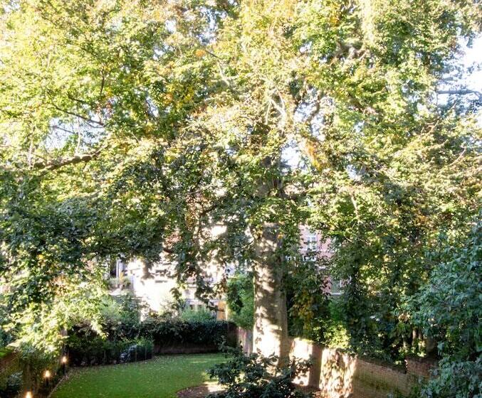 مبيت وإفطار The Old Beech