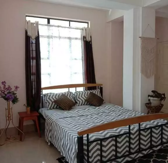 Belvedere B&b