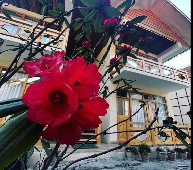 منتجع The Country House