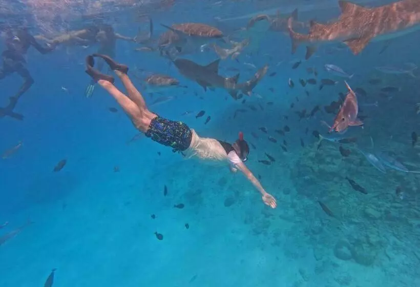 پانسیون Beach Walk Villa Maldives