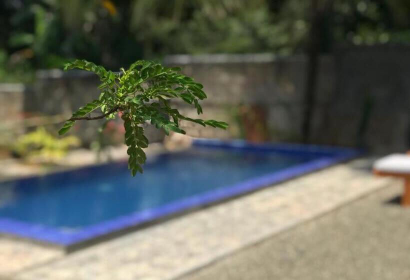 膳宿费 Peaceful Green Villa