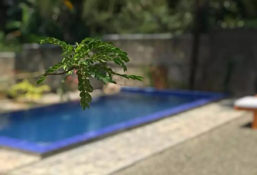 ペンション Peaceful Green Villa