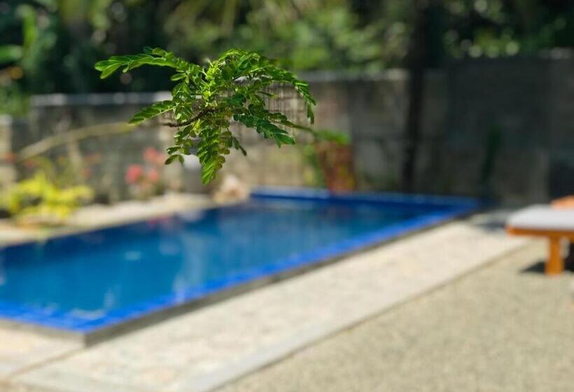 膳宿费 Peaceful Green Villa