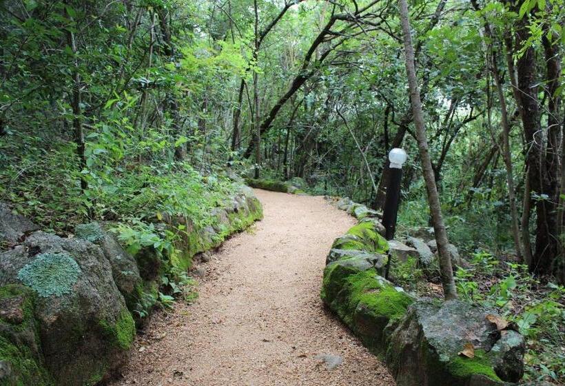 פנסיון Thulamela Couples Retreat