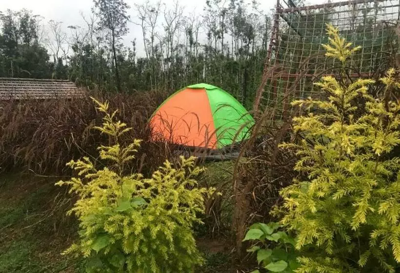 リゾートホテル Staymaker Veera S Homestay