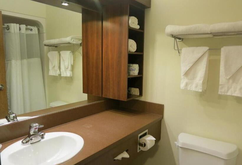 ホテル Days Inn By Wyndham Levis