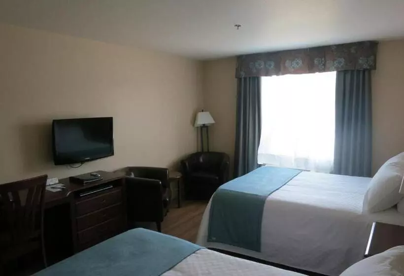 酒店 Days Inn By Wyndham Levis