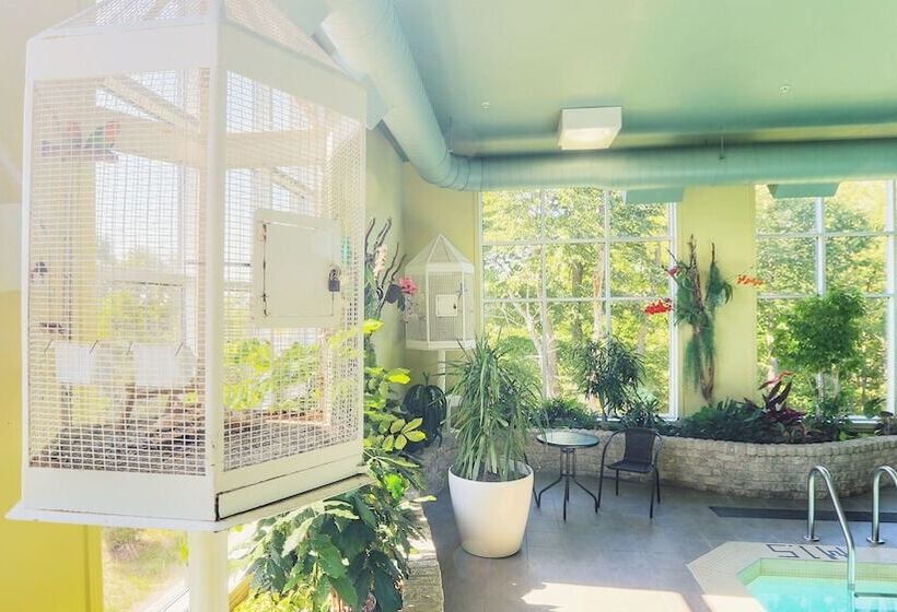 ホテル Days Inn By Wyndham Levis