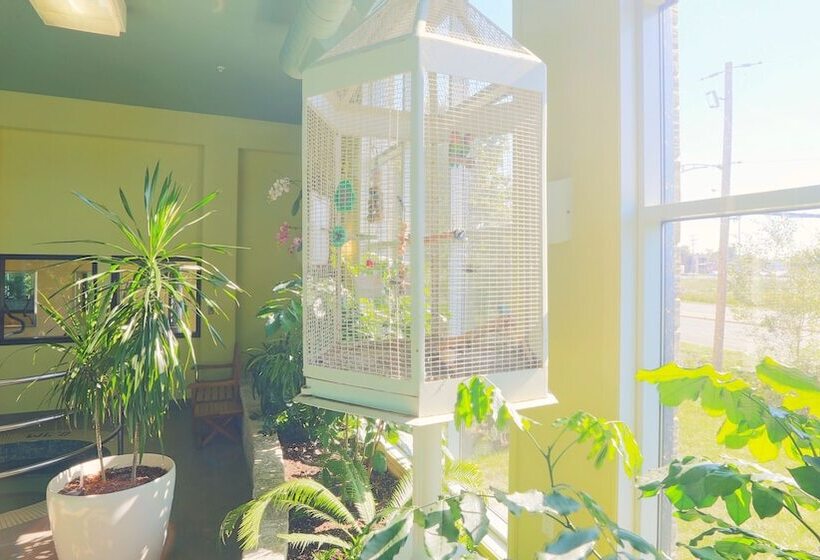 ホテル Days Inn By Wyndham Levis