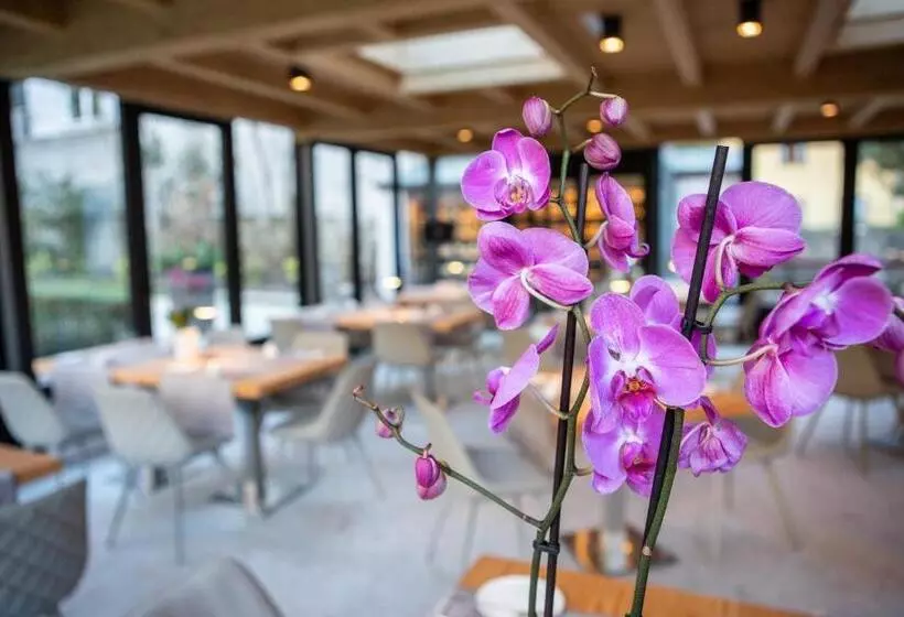 هاستل Villa Giade