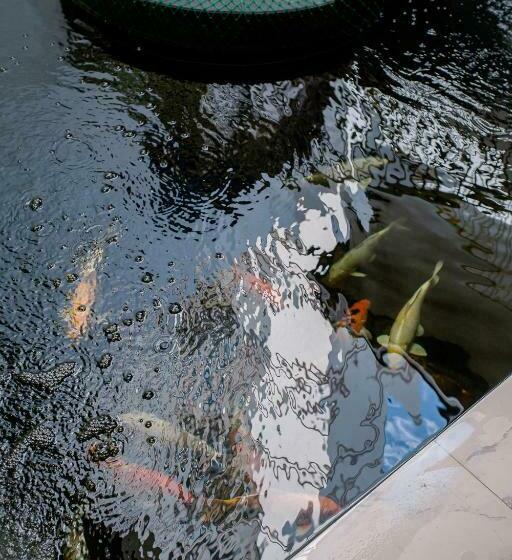 בית מלון כפרי De Thaphae Chiangmai