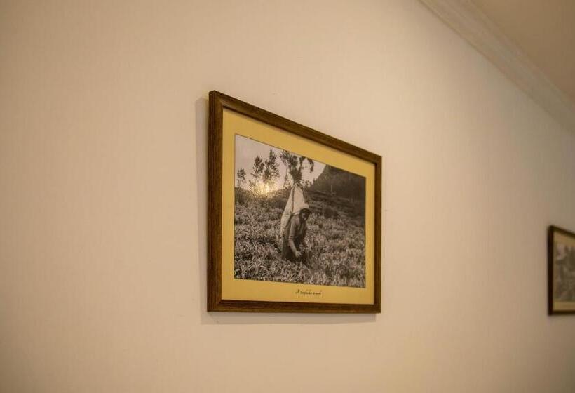 Hotel Ganthera Kandy