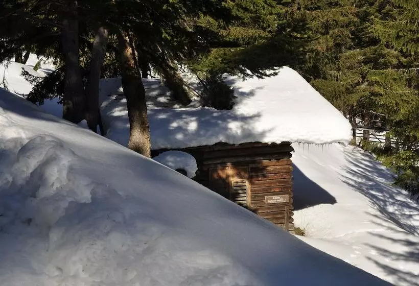 Hotelli Puitalm   Natur I Apart I