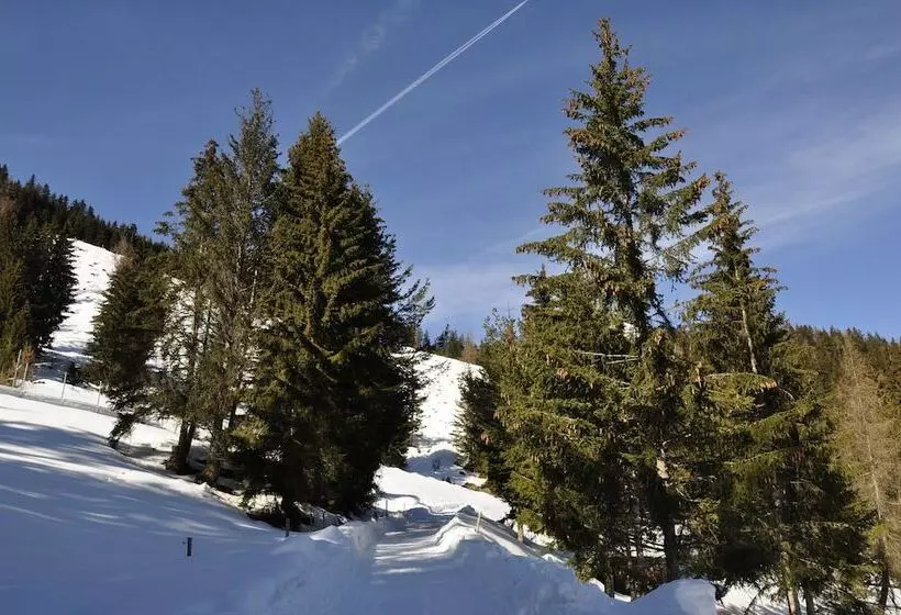 Hotelli Puitalm   Natur I Apart I