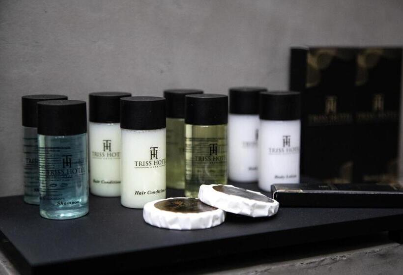 Otel Triss